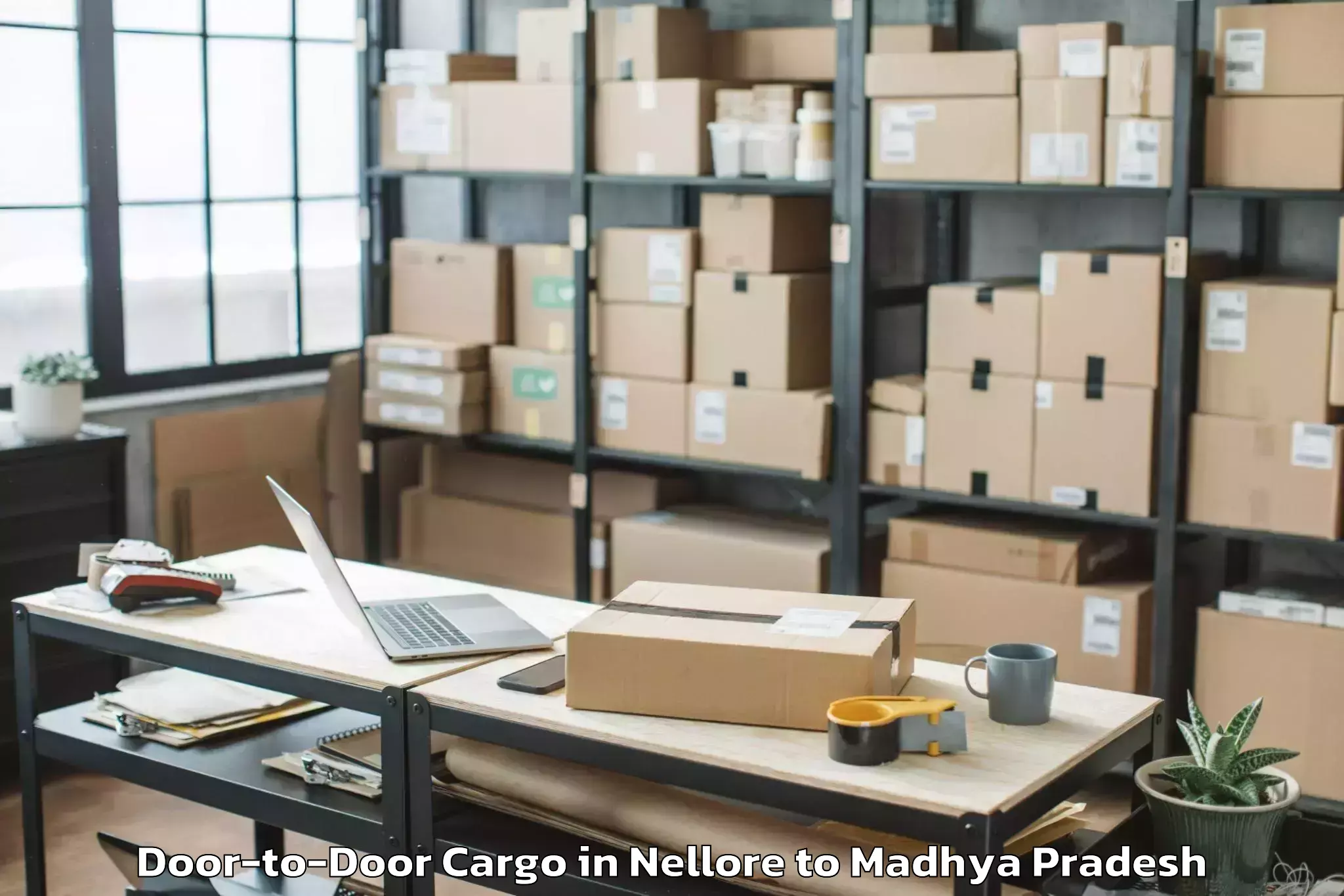 Top Nellore to Chanderi Door To Door Cargo Available